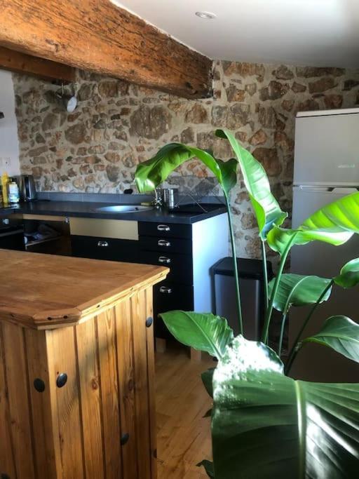 Le Loft Cosy - Centre Ville - Cadre Royal 塞特港 外观 照片