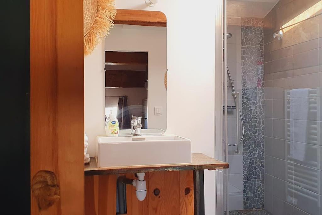 Le Loft Cosy - Centre Ville - Cadre Royal 塞特港 外观 照片